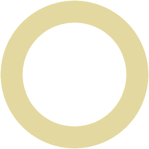 Responsible Investment Pillars - Circle (500x500)