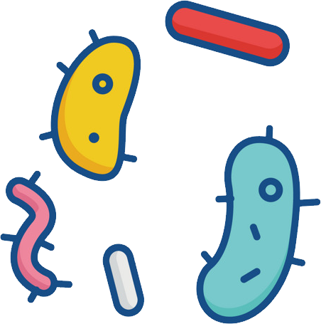 Soil Bacterium Transparent Background (452x455)