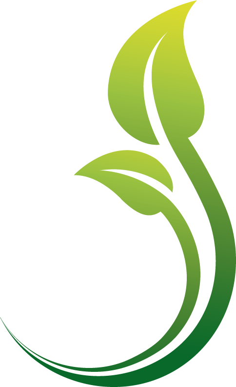 Shop Now - Herb (484x792)