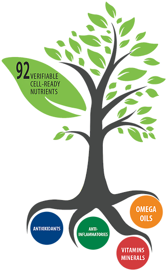 Nature Infographics (363x561)