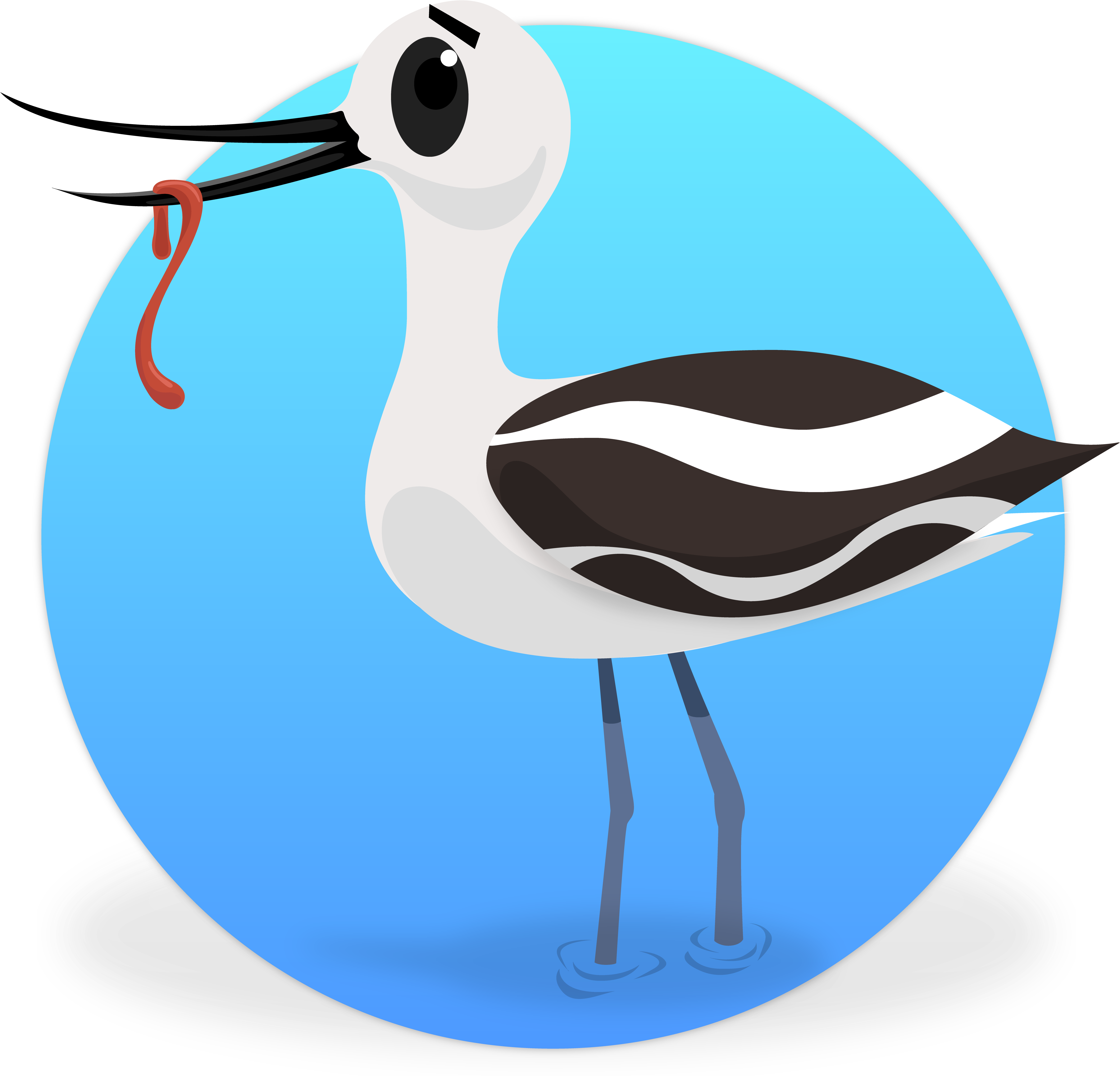 Water Bird (6250x6250)