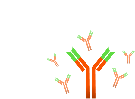 Antigen Deactivation - Antigen Deactivation (448x328)