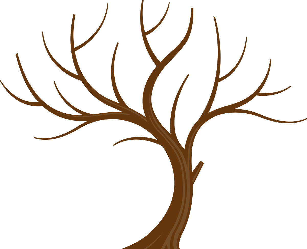 Tree Without Leaves Png (1200x973)