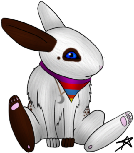X - Domestic Rabbit (500x520)