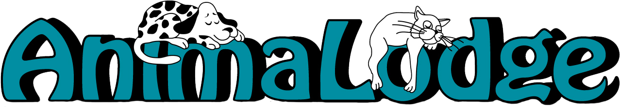 406 628 - 406 628 (1369x274)
