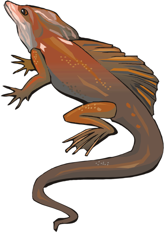 Lizard - Lizard (533x750)