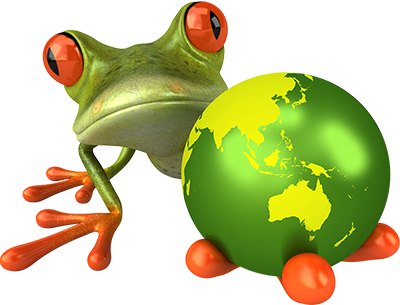 Travelling Frog (400x305)