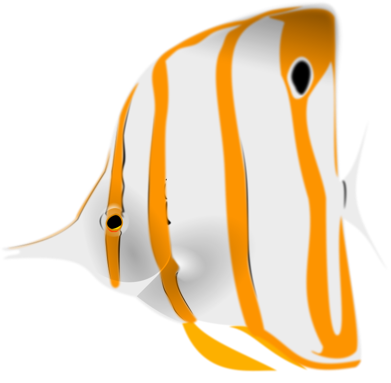 Copperband Butterflyfish - 熱帯魚 素材 (800x784)