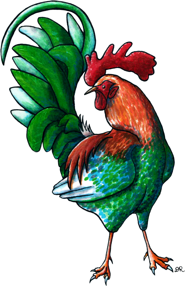 Rooster By Ritabuuk - Rooster (608x929)
