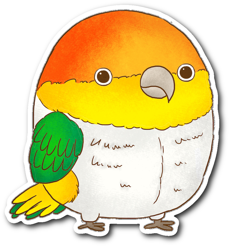 Caique Sticker - Caique (1064x1064)