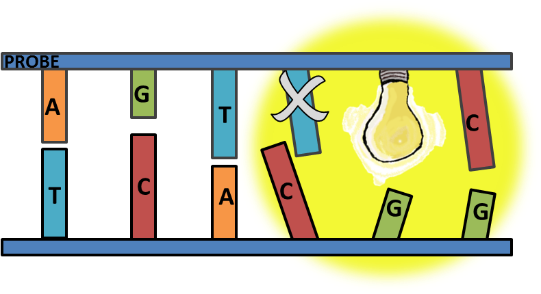 Graphic Design (807x442)