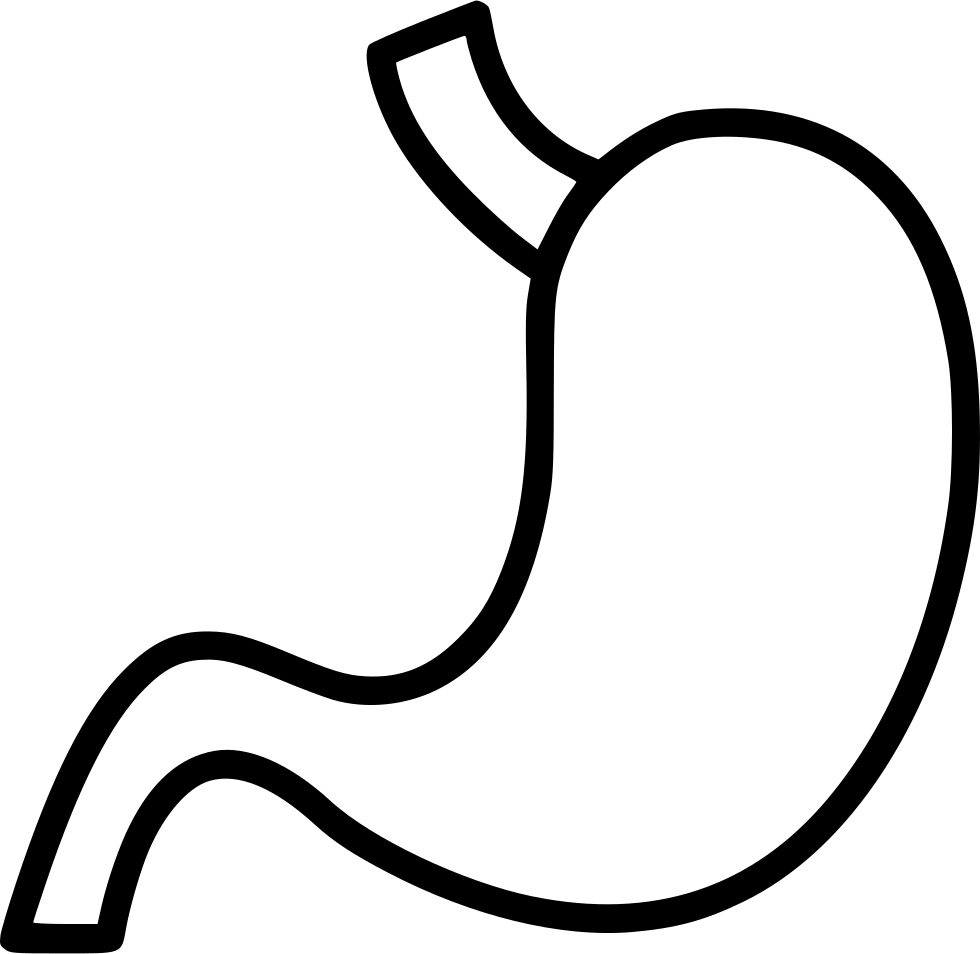 Stomach Comments - Scalable Vector Graphics (980x954)