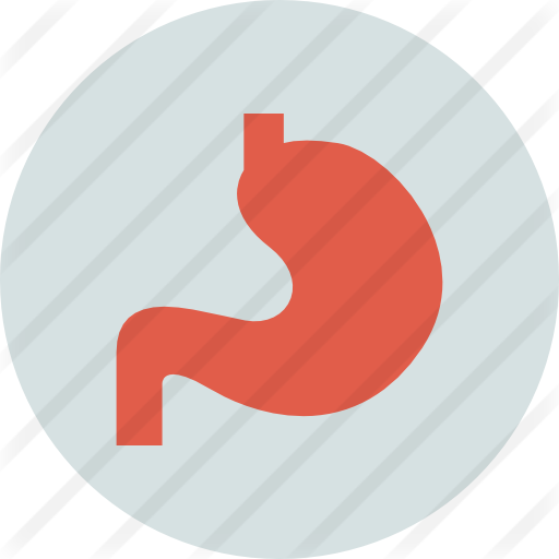 Stomach - Stomach (512x512)