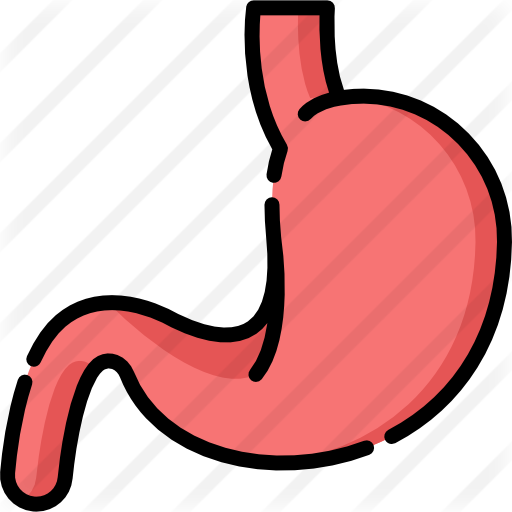 Stomach - Stomach (512x512)