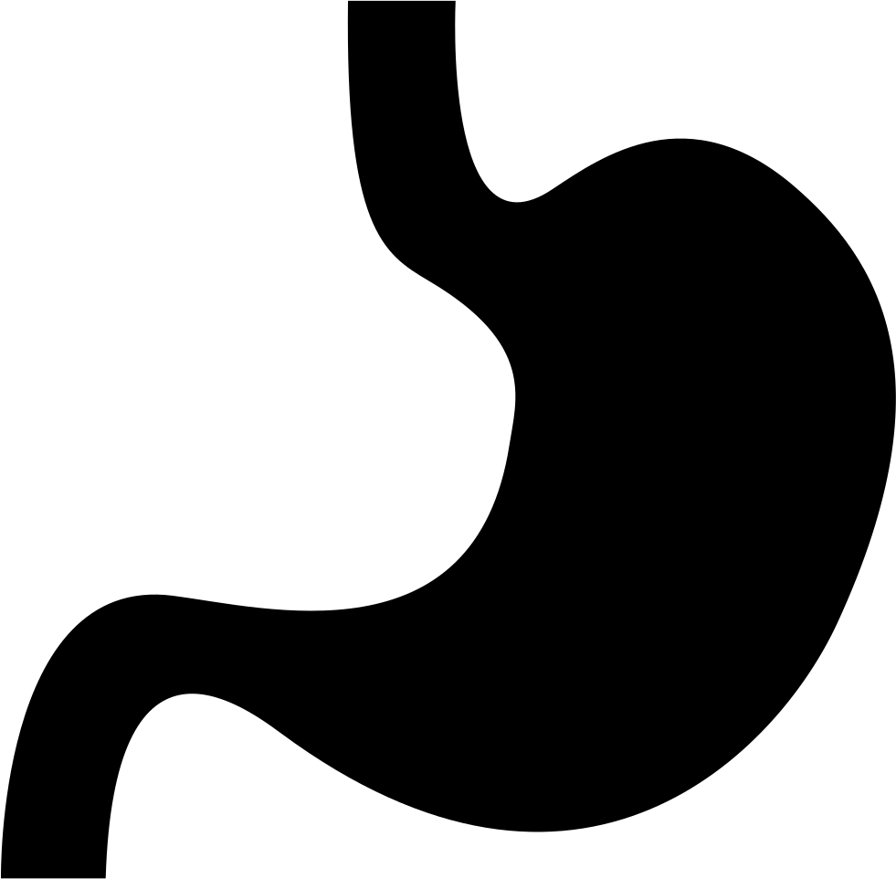 Stomach Comments - Stomach Icon (981x962)