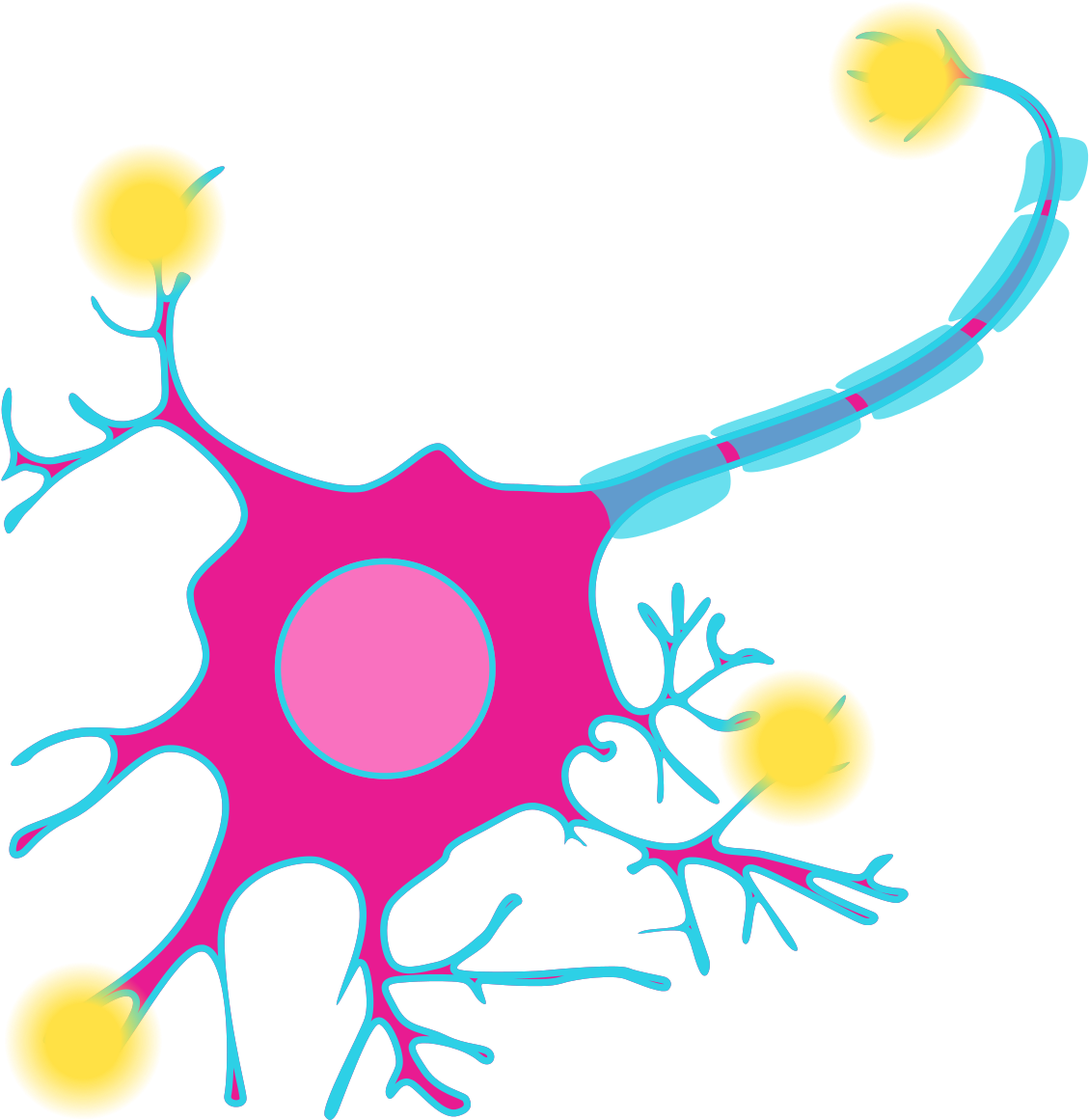 The Brain - Neuron Cell Diagram (1200x1200)