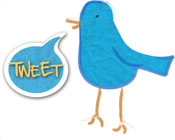Twitter Bird Illustration - Mountain Bluebird (600x479)