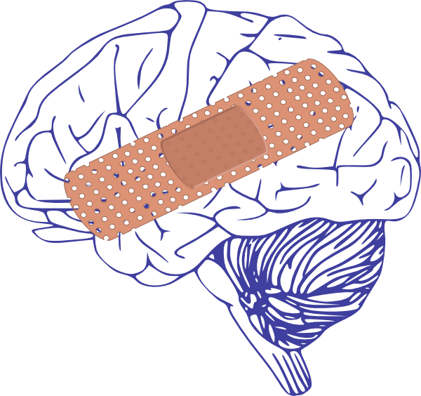 Brain Clip Art (600x564)