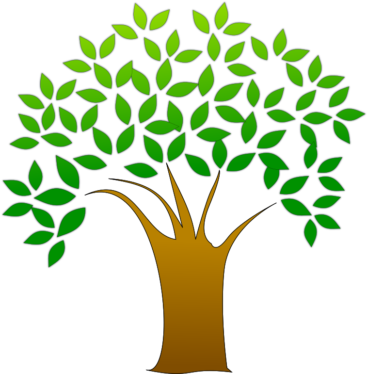 Brain Clipart Knowledge Brain - Tree Clipart Transparent Background (1067x800)
