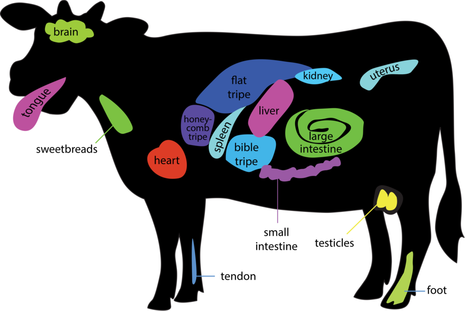 Meat Cuts - - Beef (920x615)