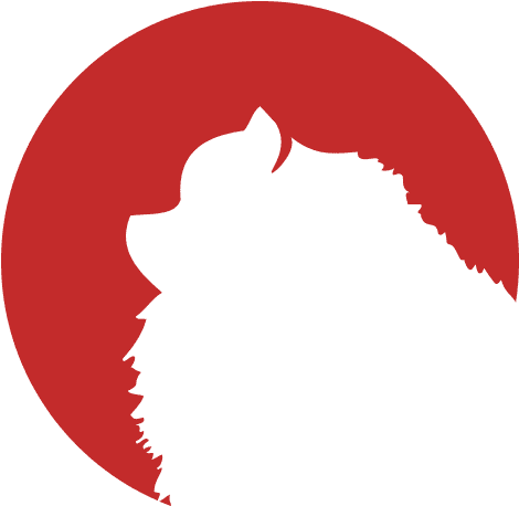 Round Grey Dog Icon - Icon (500x500)