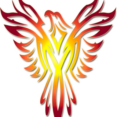 Phoenix Procurement - Eyasses Kodi (400x400)