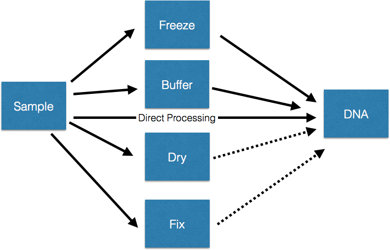 Sample2 - Buffer Science Example (796x511)