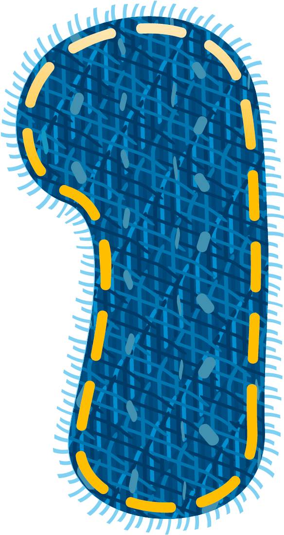 Https - //gallery - Yopriceville - Com/free Clipart - Clip Art (650x1149)