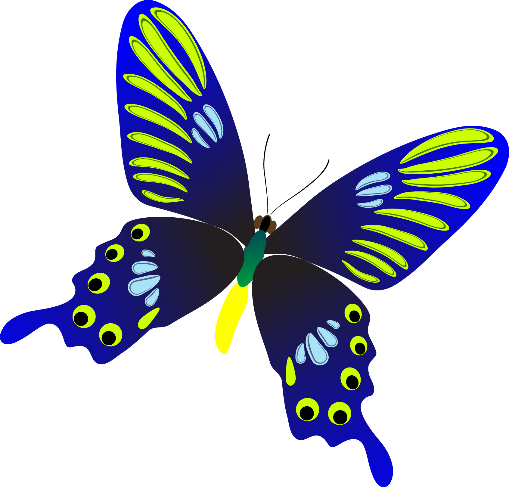Butterfly (1691x1618)