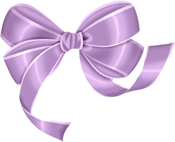 Bow Transparent - Bow Png (585x475)
