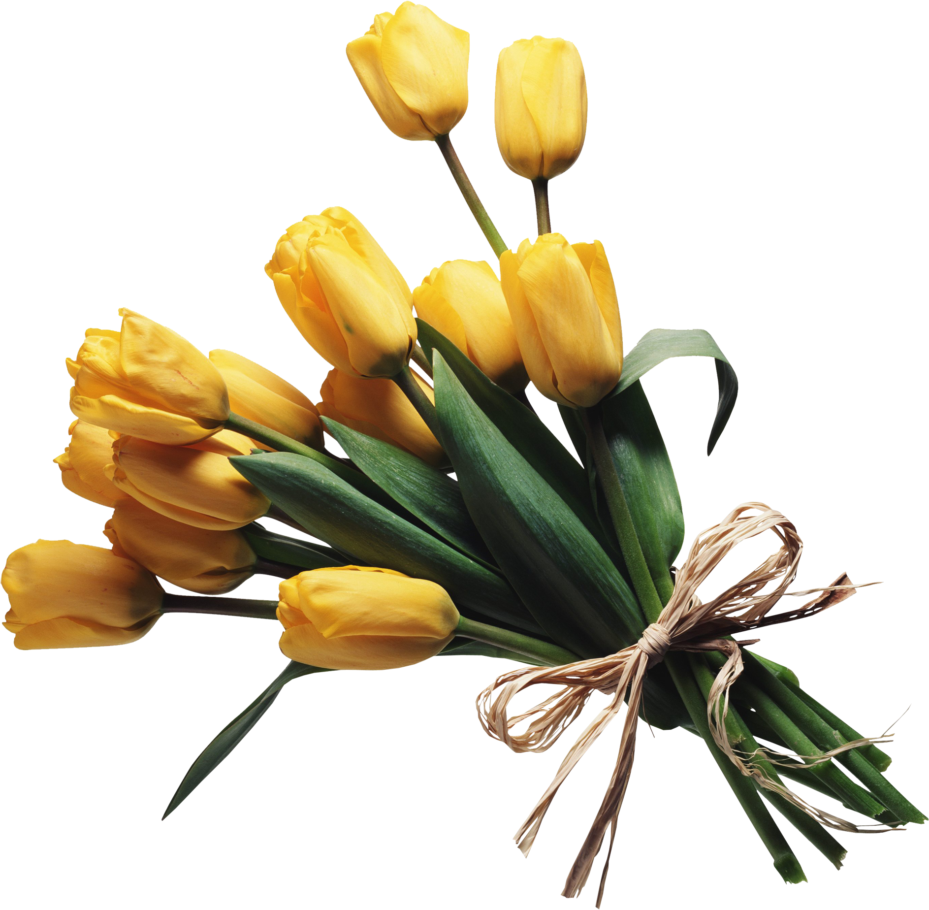 Flower Bouguet On Transparent Background (2000x1959)