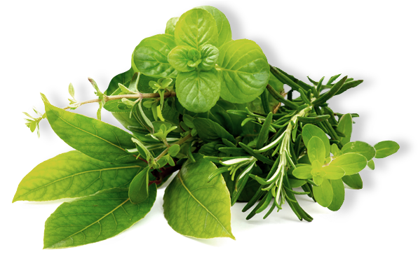Herb - Herbs Png (648x362)