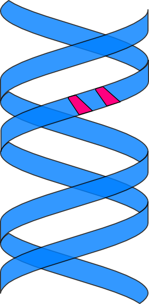 Clip Art (294x598)