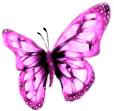 Pink Butterfly - Digital Art (400x389)