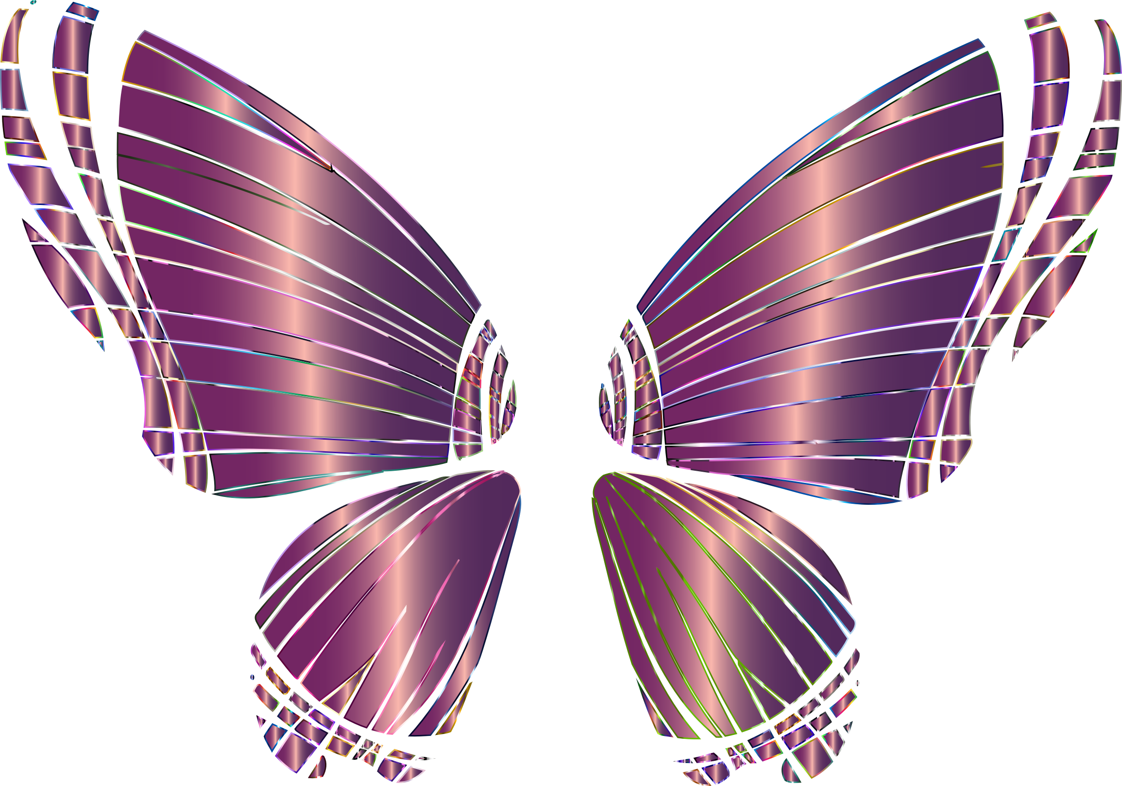 Medium Image - Limenitis (2310x1618)