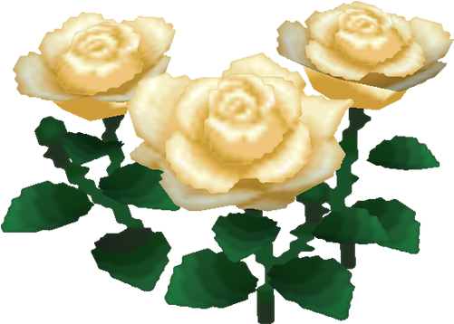 Garden Roses (500x370)