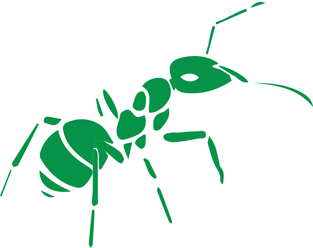 Ant - Vevtor Ant (1005x797)