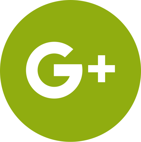Google Logo Png (459x460)