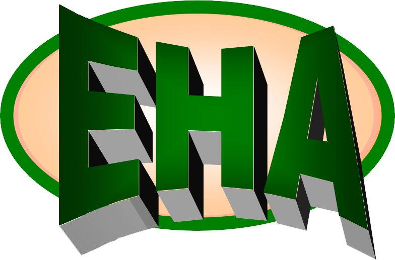 Eha Big Egg - Egg (784x517)