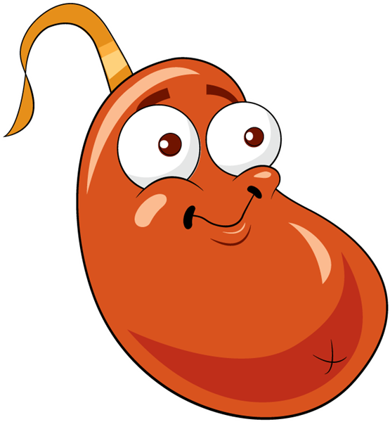 More Information - Plants Vs Zombies Bean (555x600)