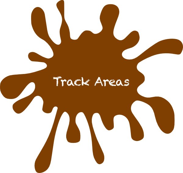 Track - Paint Splash Clipart (600x568)