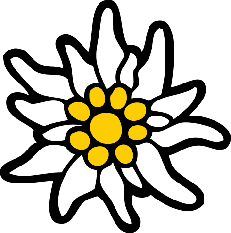 Edelweiss (476x480)