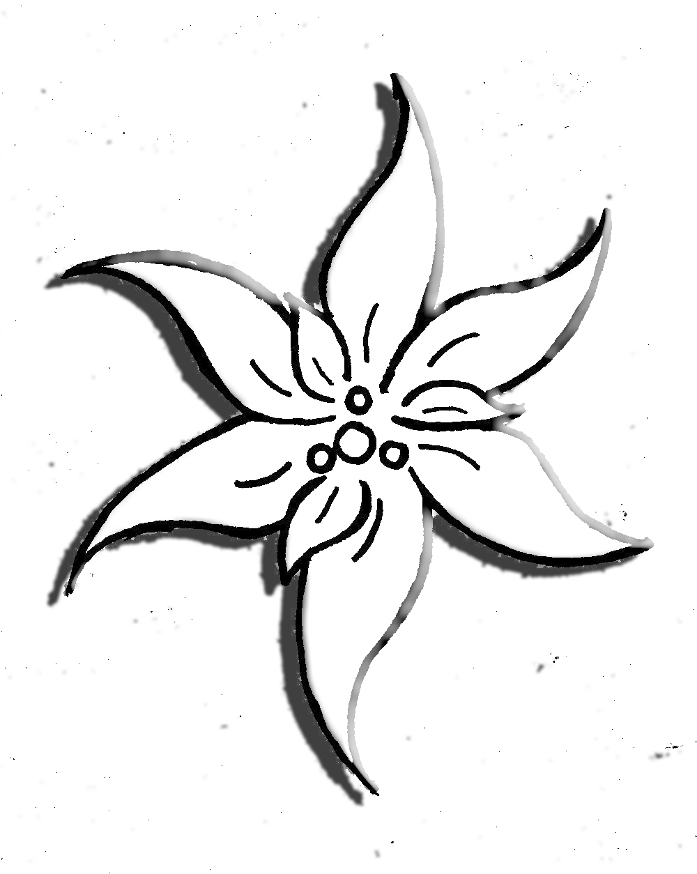 Edelweiss - Edelweiss (999x1269)
