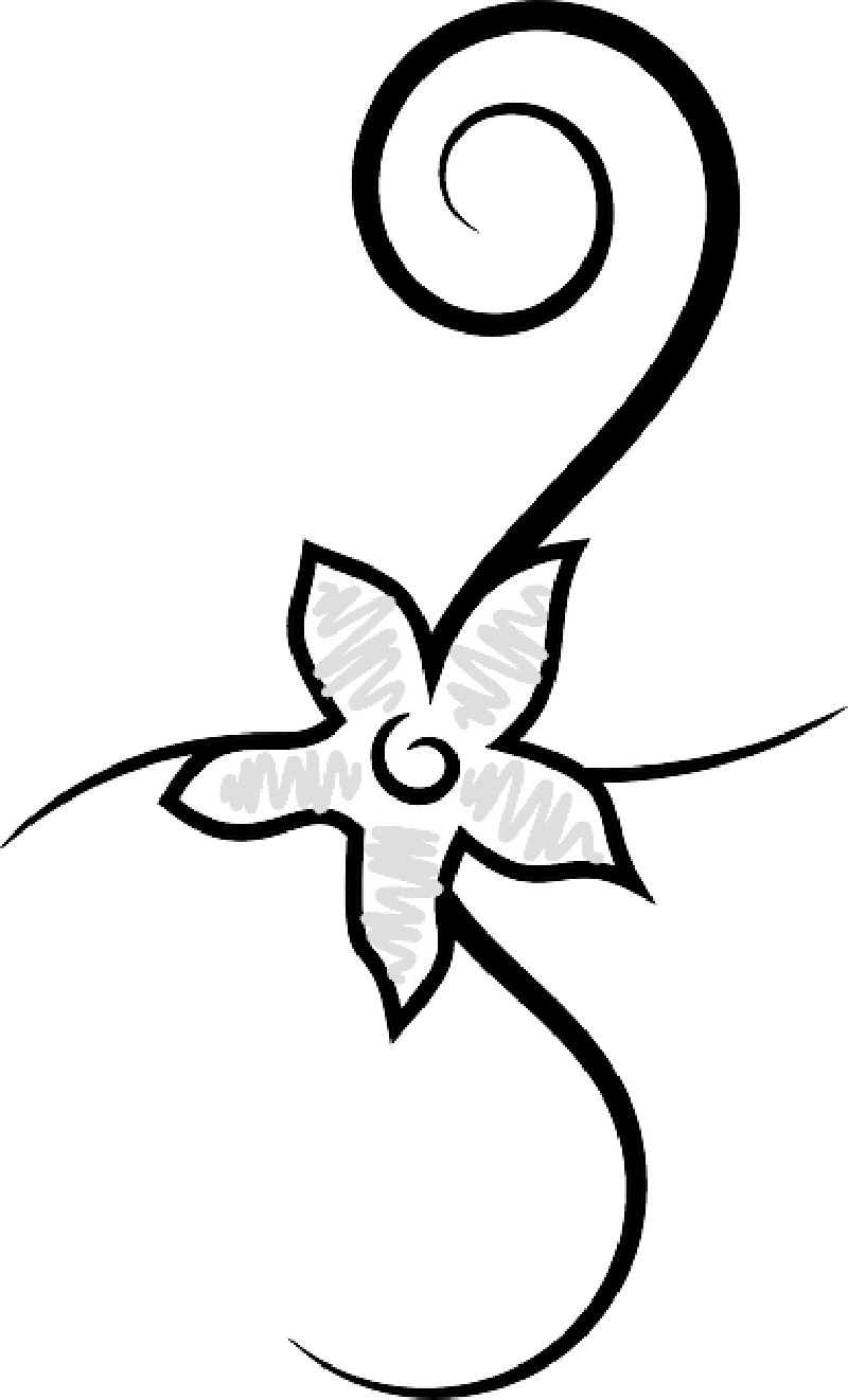 Insect - Clip Art (800x1322)