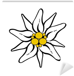 Edelweiss Drawing (400x400)