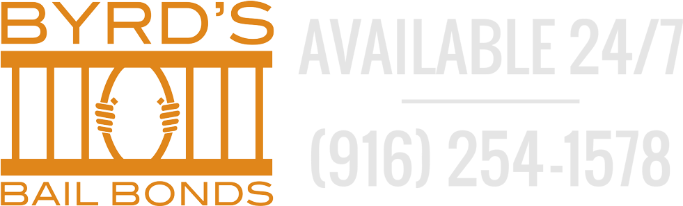 Vemma (1000x296)