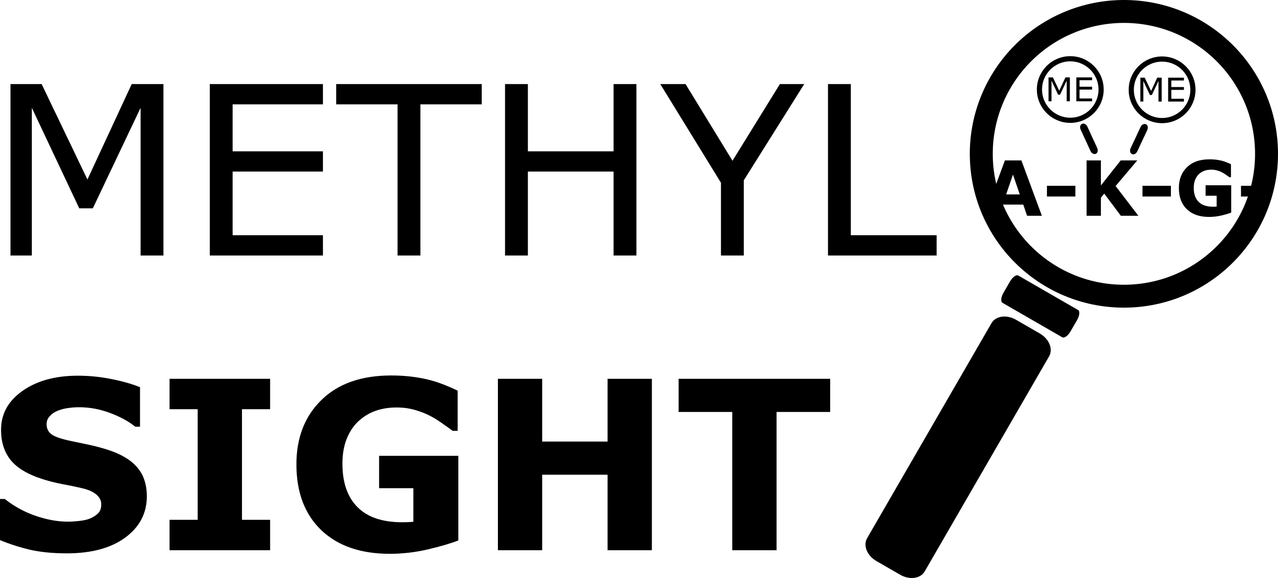 Methylsight Logo - Logo (2577x1167)