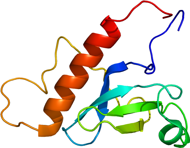 Whsc1l1 (693x551)