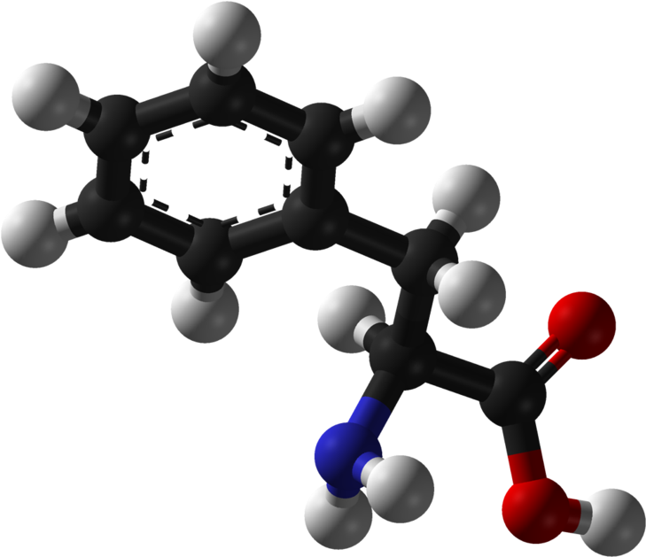 Phenylalanine - Phenylalanine 3d (800x700)