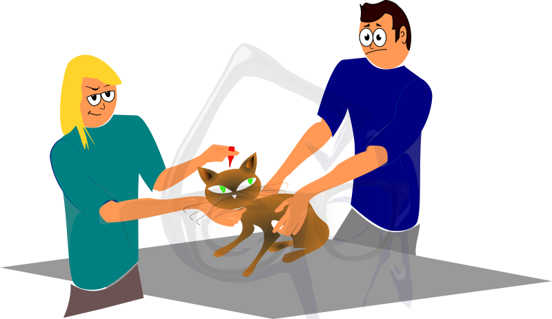 Cartoon Cat Getting Deflead - Cartoon (800x463)